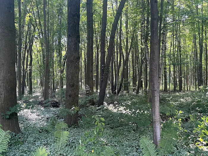 My Place at Thorn Hollow 8