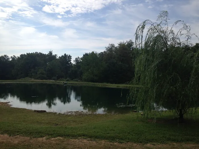 Harris Hill Campground 1