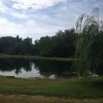 Harris Hill Campground