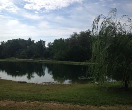 Harris Hill Campground