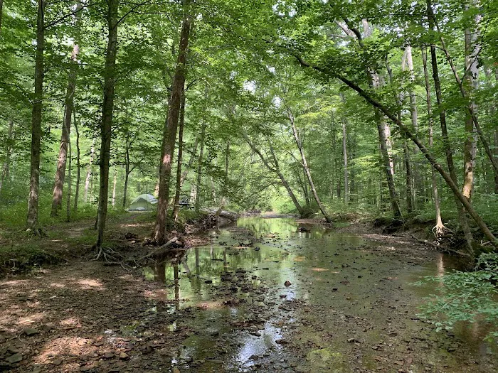 Clear Creek Campground 8