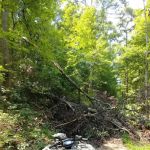 White Sulphur Horse Camp