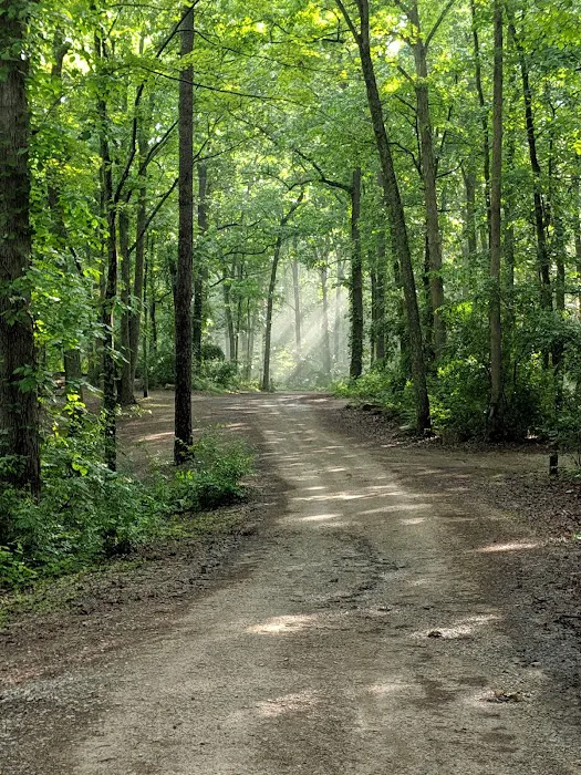 S-Tree Campground 7