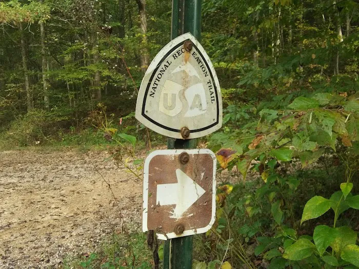 S-Tree Campground 4
