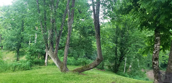 Rockcastle Riverside 7