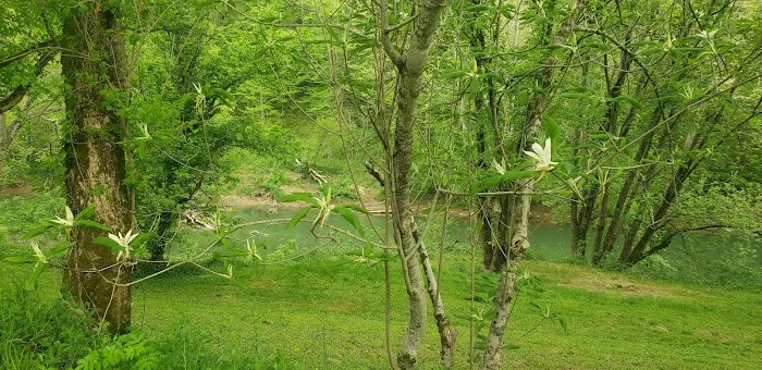 Rockcastle Riverside 6