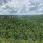 Posh Pines at the Outpost Campground