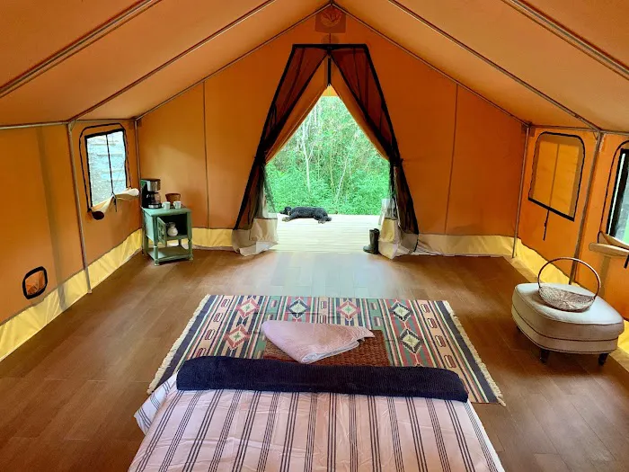Cabin and Canvas 8