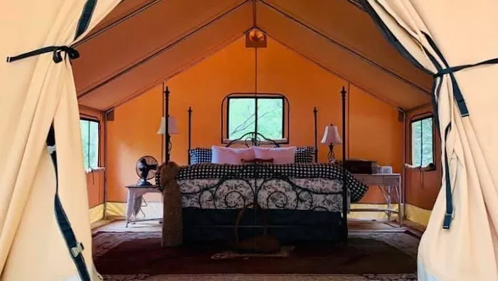 Cabin and Canvas 9