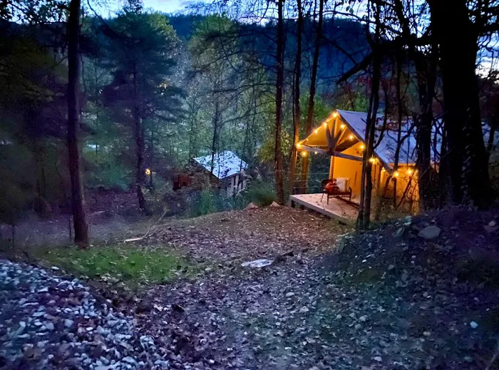 Cabin and Canvas 6