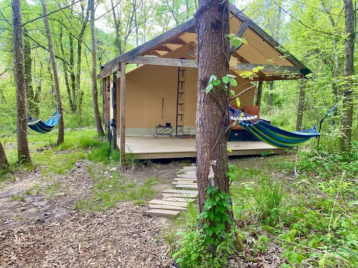 Cabin and Canvas 1