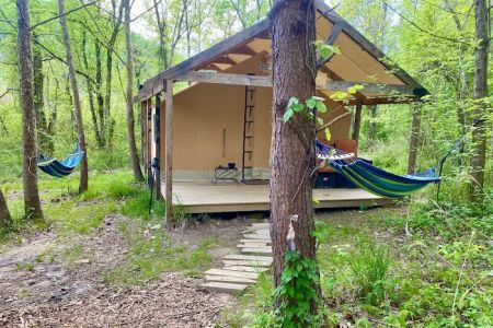 Cabin and Canvas