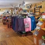 Daniel Boone Campground in Red River Gorge