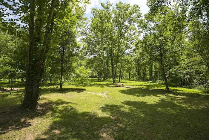Daniel Boone Campground in Red River Gorge 9