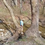 Whittleton Campground