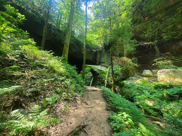 Whittleton Campground 2