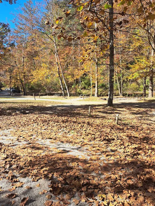 Whittleton Campground 10