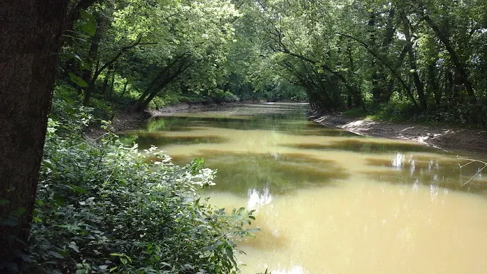 Miller's Creek Camping Area 2