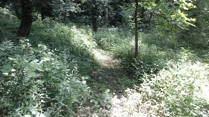 Miller's Creek Camping Area 3
