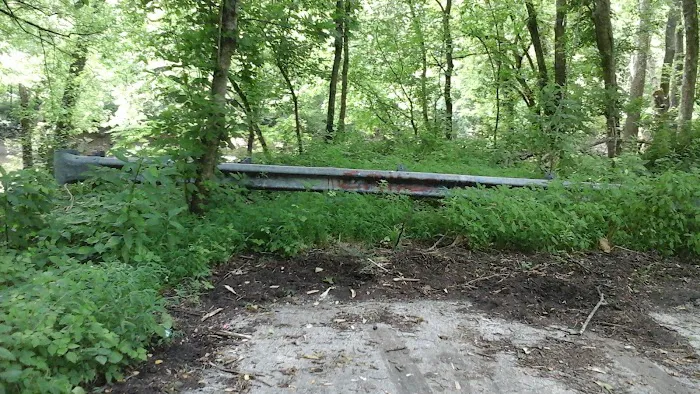 Miller's Creek Camping Area 9