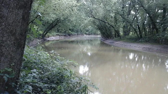 Miller's Creek Camping Area 4