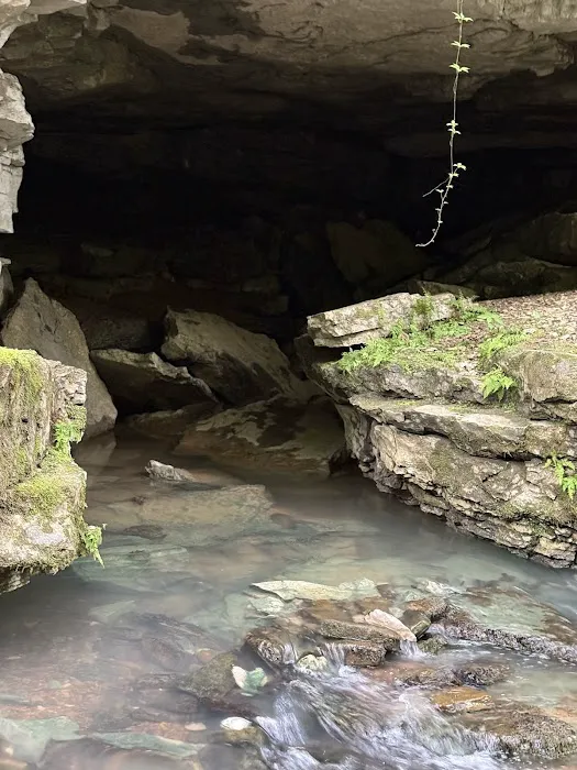 Turkey Foot Campground 2