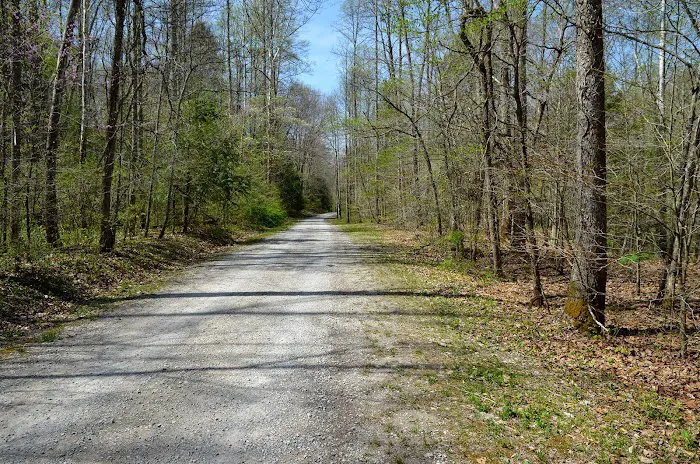 Turkey Foot Campground 5