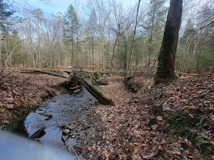 Turkey Foot Campground 7