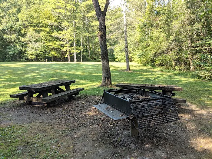 Turkey Foot Campground 3