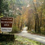 Turkey Foot Campground
