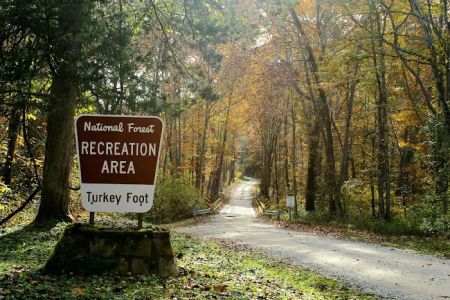 Turkey Foot Campground