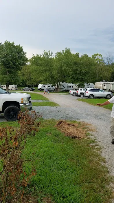 Lawrence Creek Campground 10