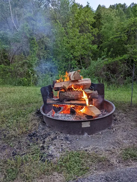 Dale Hollow State Park Campground 10