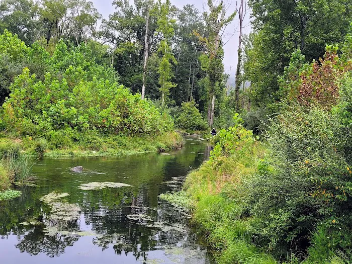 U.S. Army Corps of Engineers Kendall Campground 6