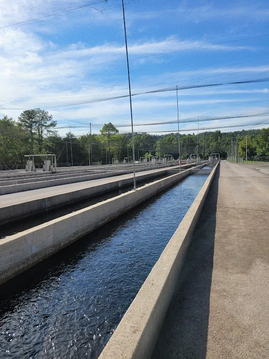 U.S. Army Corps of Engineers Kendall Campground 9