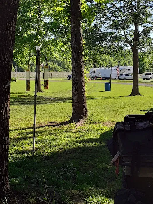 Landing Campground 1