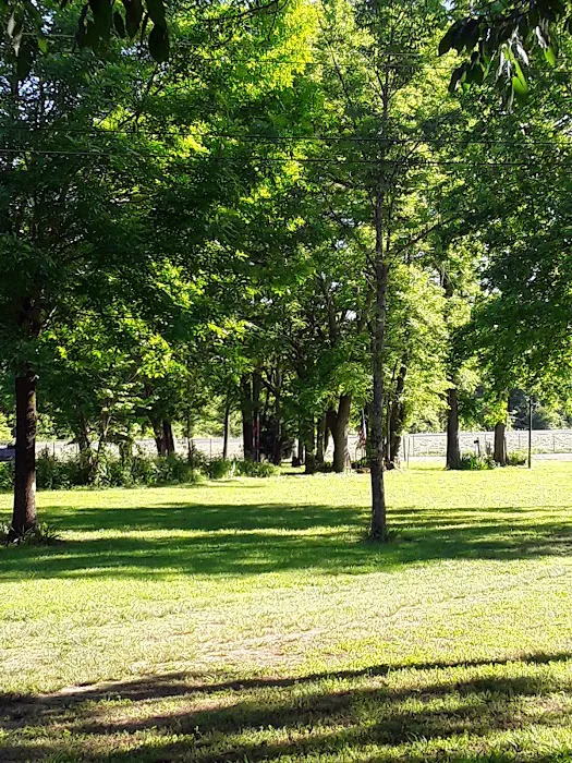 Landing Campground 5
