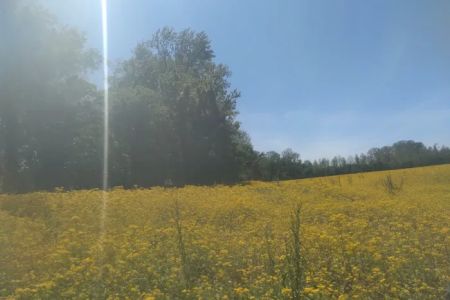 Indian Camp Campground