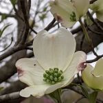 Four Seasons POA Owner Campground- Private