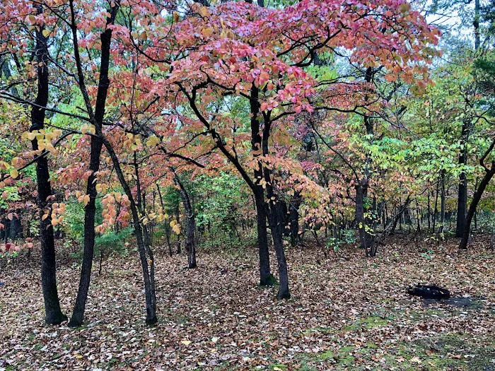 Osage Beach RV Park 4