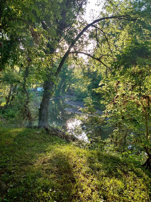 Country View Acres 4