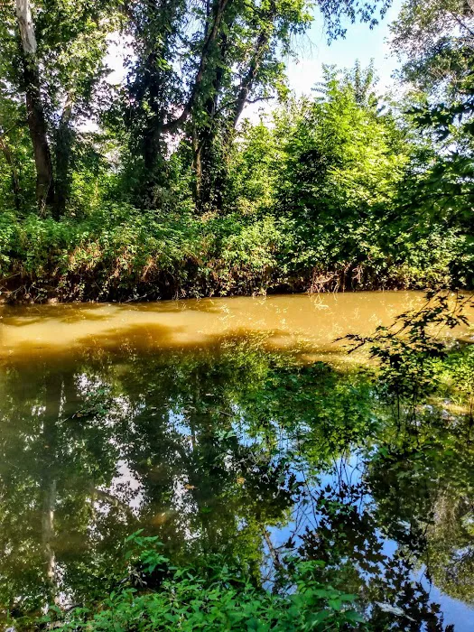 Country View Acres 5