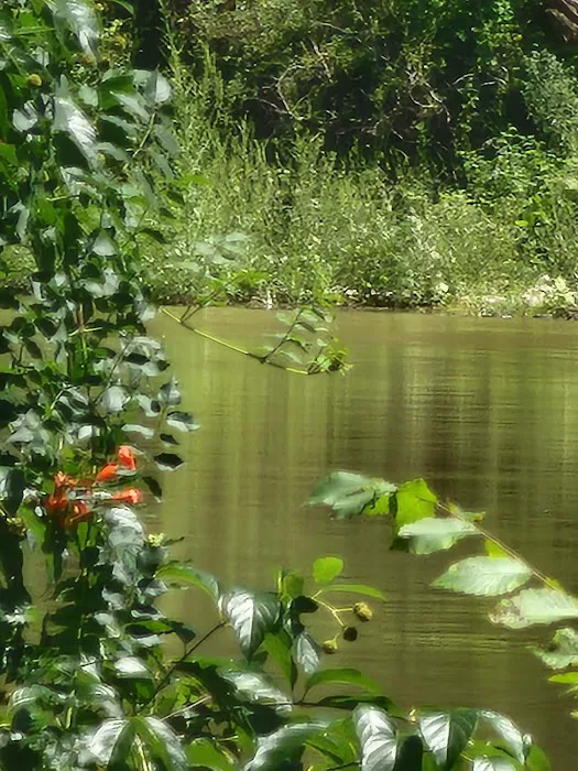 Country View Acres 6