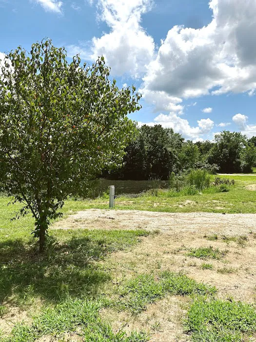Camp Elim RV Park & Campground 10