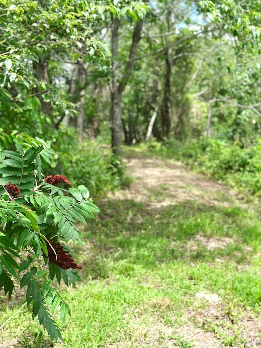 Camp Elim RV Park & Campground 3