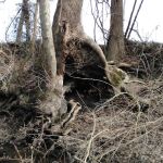 Roubidoux Spring Campground & RV Park