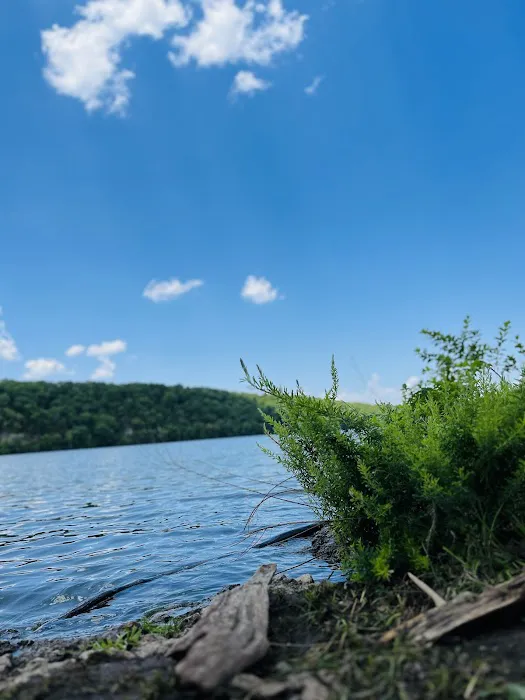 Lake of the Ozarks State Park Campgrounds 4