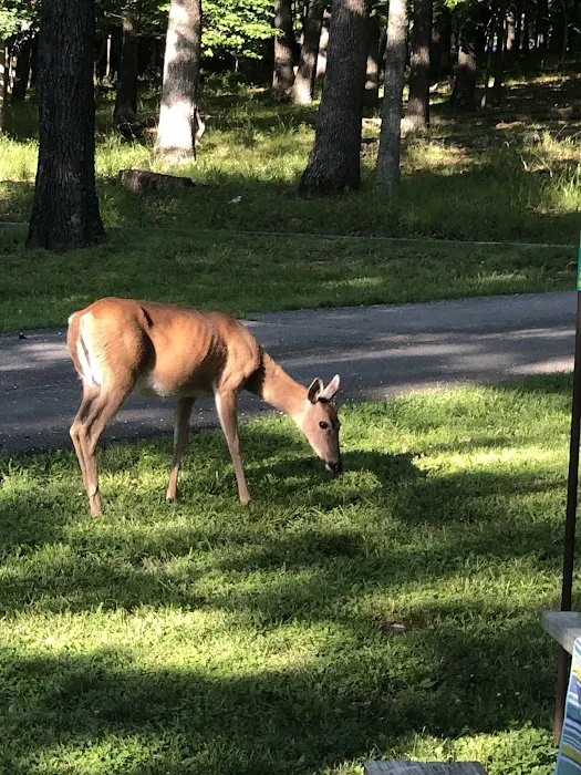 Lake of The Ozarks Campgrounds: Section 3 2