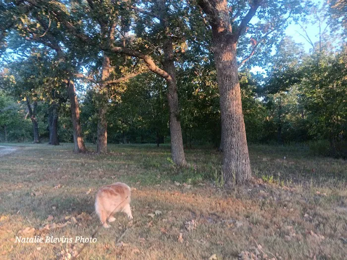 Three Springs RV Park 7