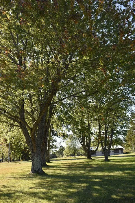 Three Springs RV Park 6